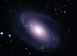 M81