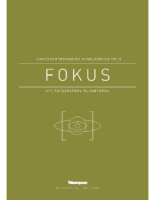 Nr 1 2017 — Fokus 10