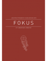 Nr1 2013 — Fokus 2