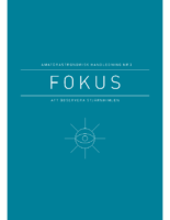 Nr3 2013 — Fokus 3