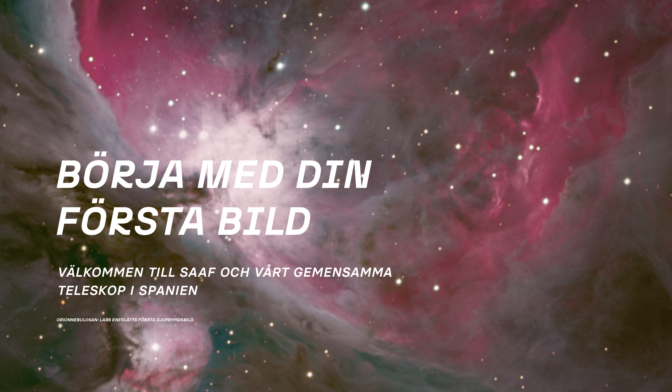 MWT-din-forsta-bild