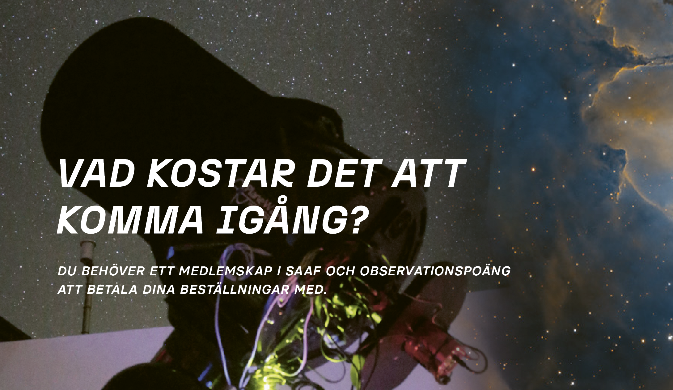 MWT-kost